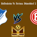 Prediksi Bola Hoffenheim Vs Fortuna Düsseldorf 2 Februari 2019